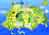 Itinerari sull'Isola d'Ischia -Italia
